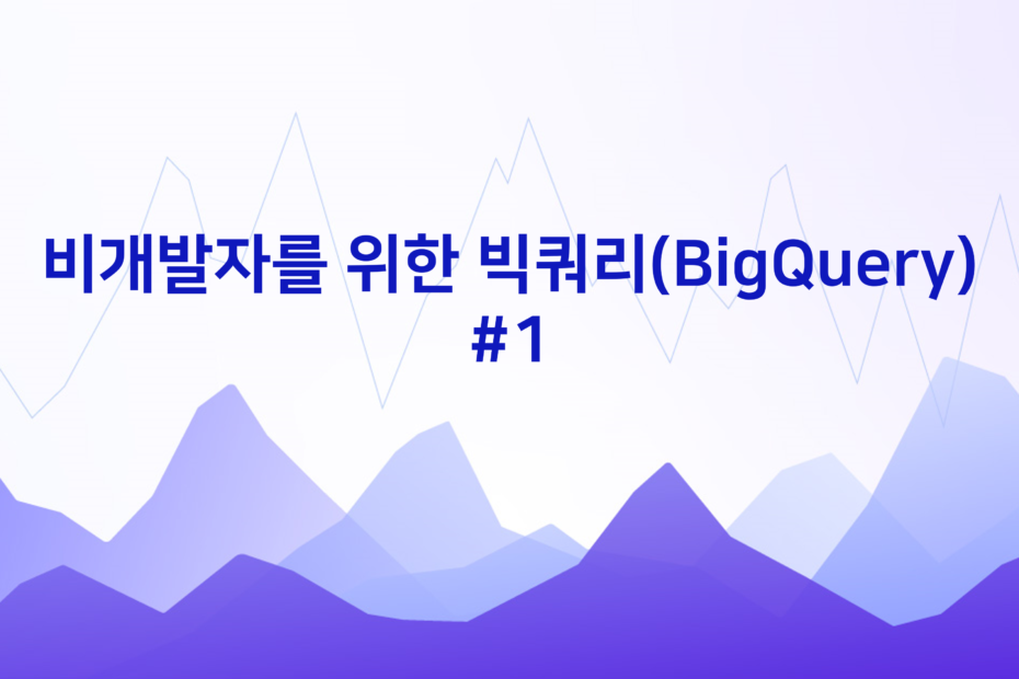 cover_비개발자를-위한-빅쿼리BigQuery_1