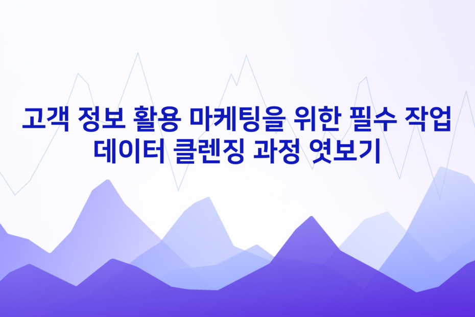 cover_고객 정보 활용 마케팅을 위한 필수 작업-데이터 클렌징 과정 엿보기