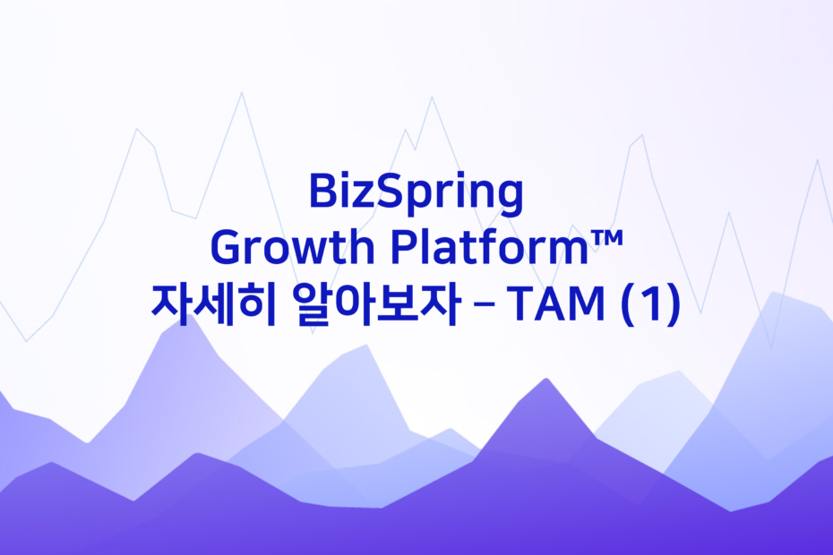 cover_BizSpring-Growth-Platform™️