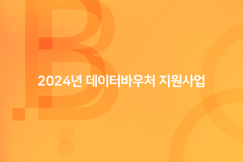 cover_2024년 데이터바우처 지원사업